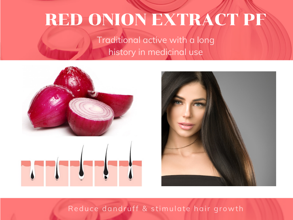 Red Onion Extract PF สารสกัดจากหอมแดง(Allium Cepa)  ช่วยขจัดรังแค ลดการหลุดร่วงของเส้นผมและกระตุ้นการงอกใหม่ของผม